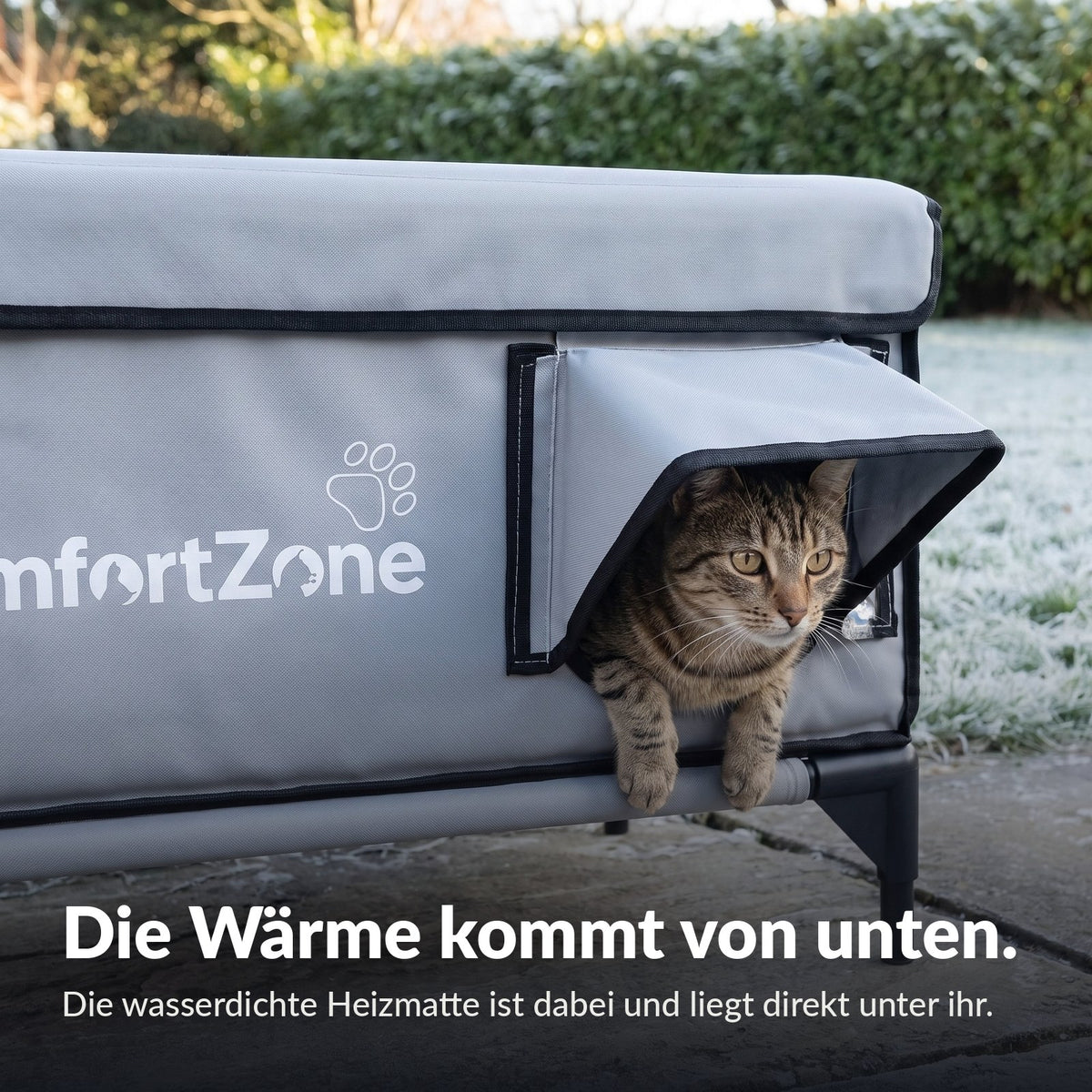 Katze liegt im Comfort Zone auf der Heizmatte